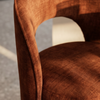 LEDA Dolly Detail